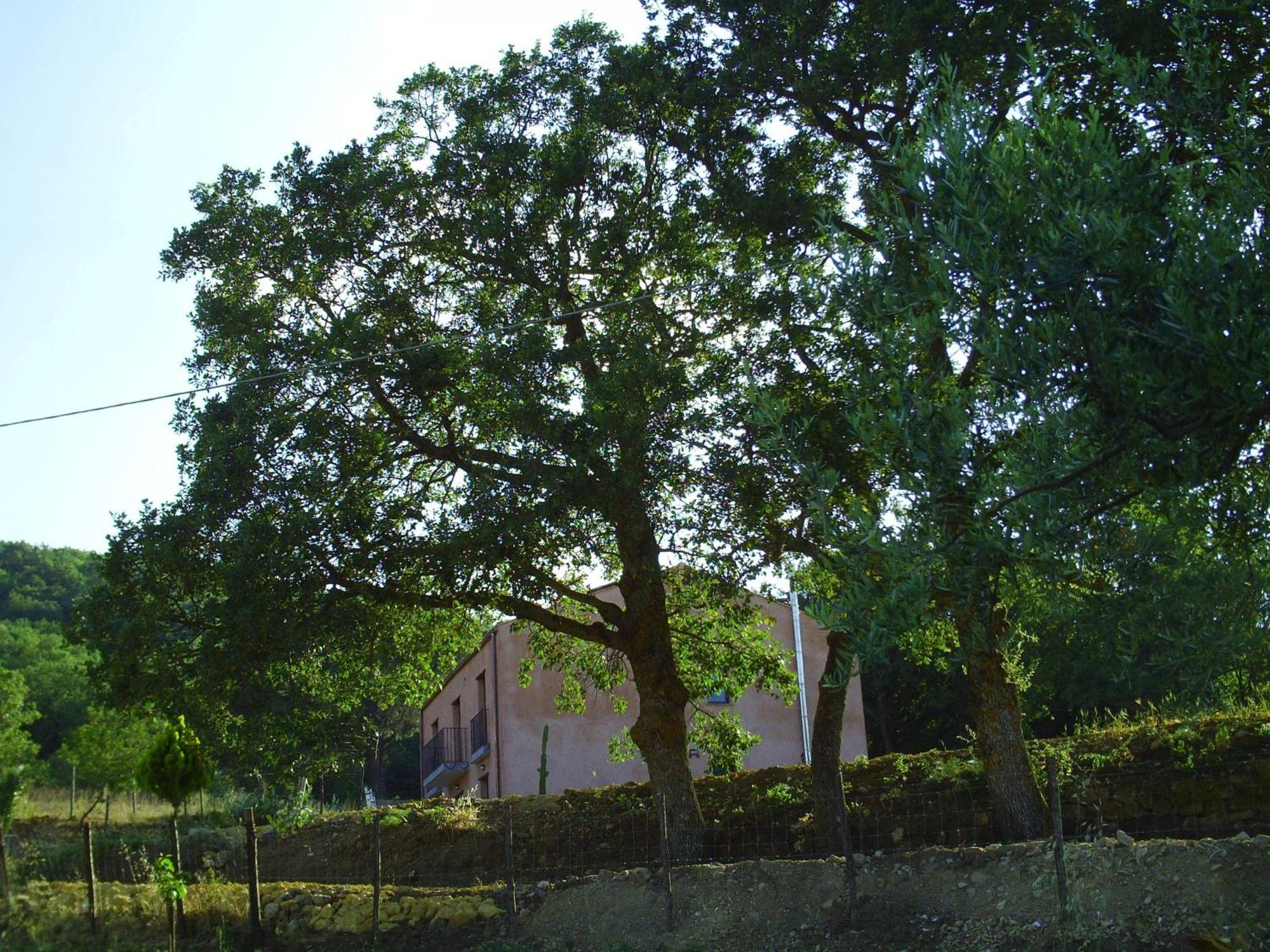 Agriturismo San Pietro Gangi Exterior foto